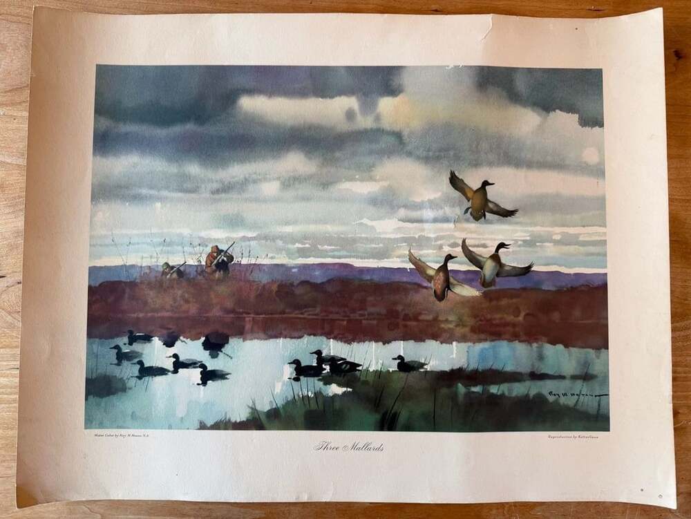 Three Mallards Vintage Art Print Watercolor by Roy M. Mason N.A.
